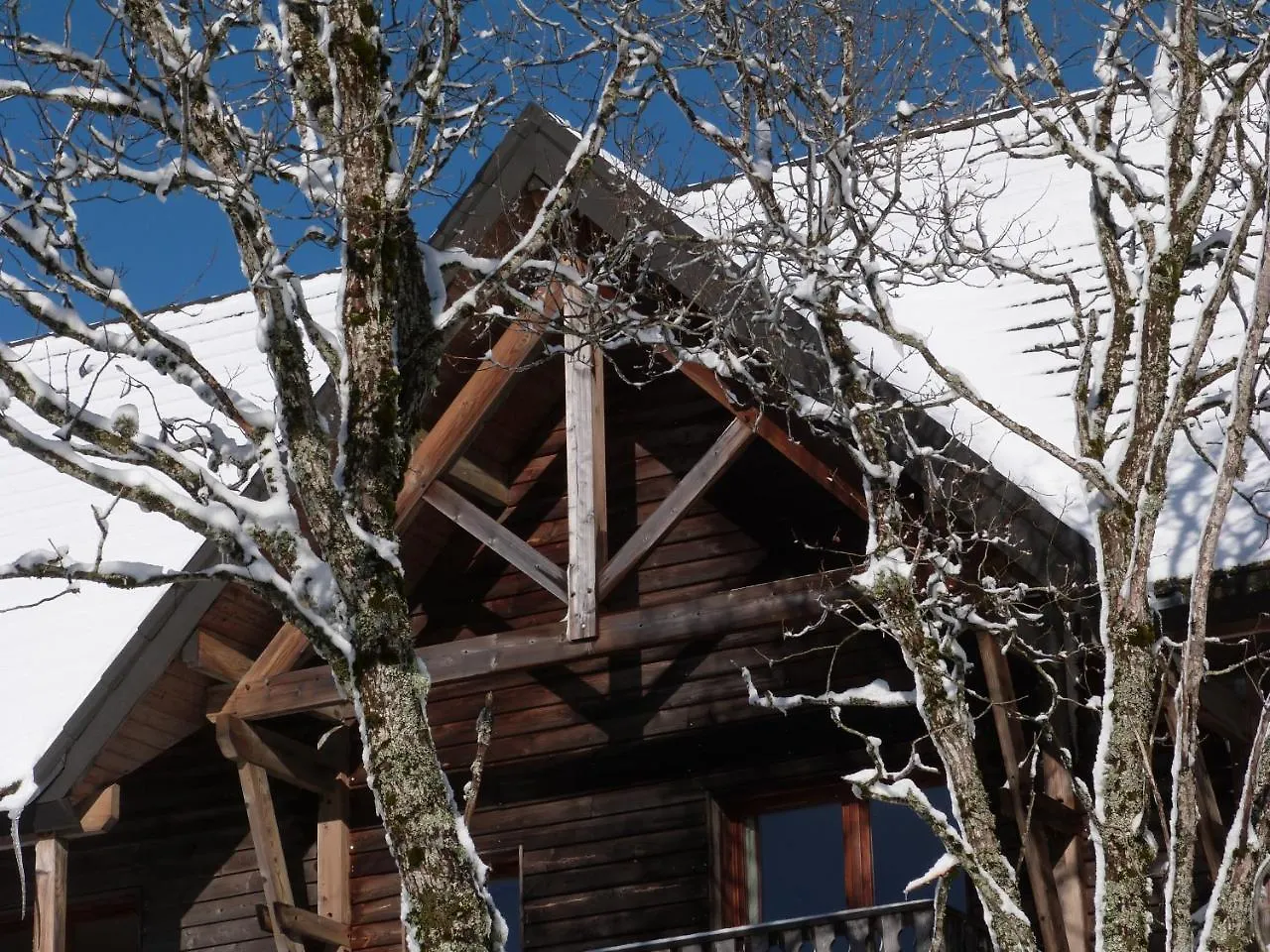 Résidence Le Bois de la Reine Super-Besse 3*,