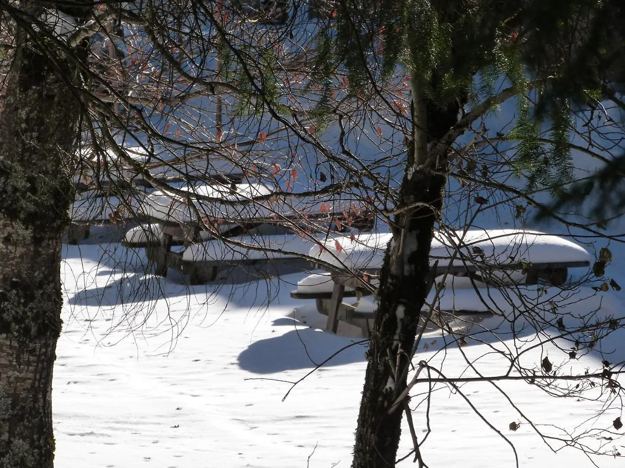 Résidence Le Bois de la Reine Super-Besse 3*,  France